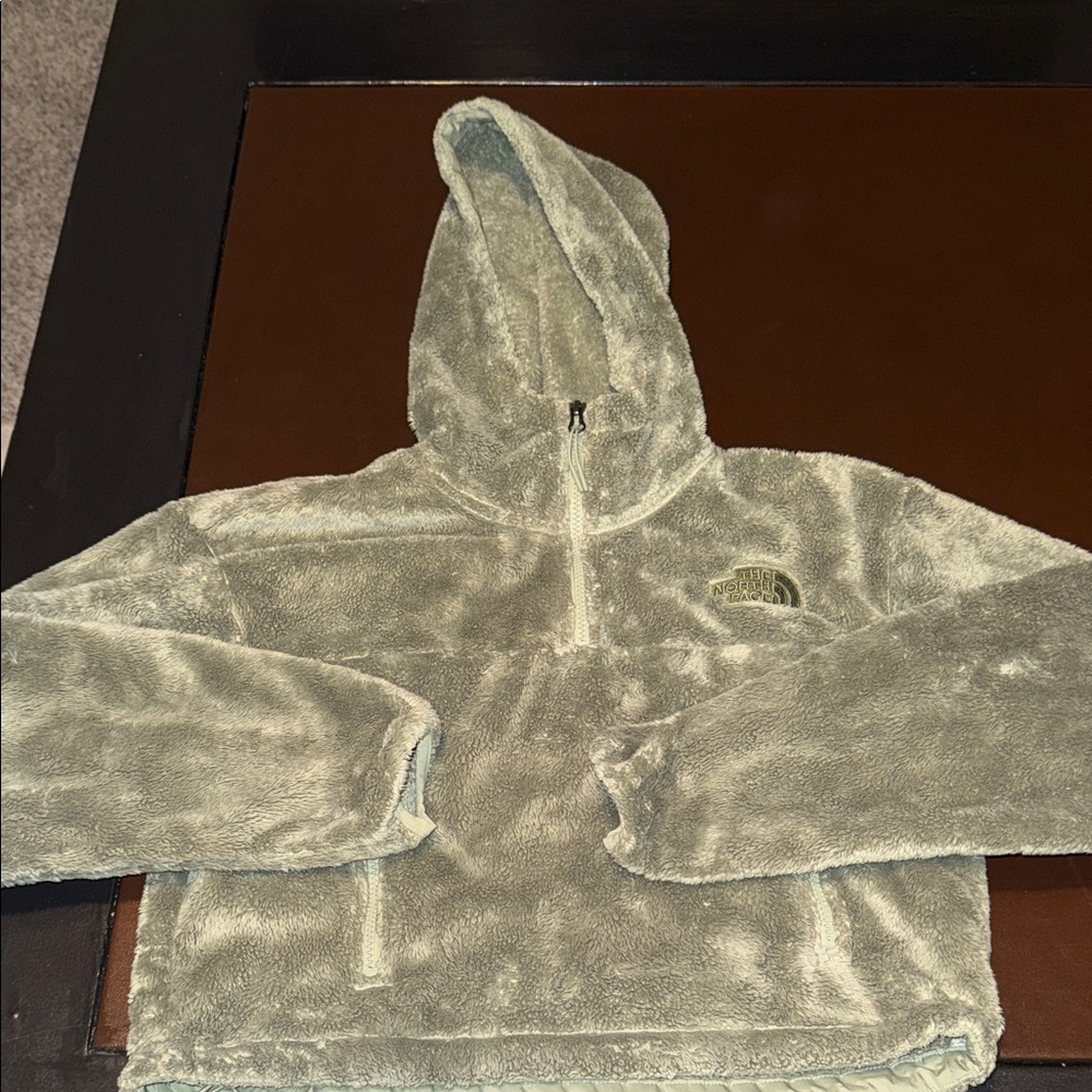 The North Face Sage Green Fleece Hoodie